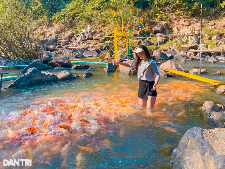 Chiêm ngưỡng dòng suối cá vàng độc đáo ở miền Tây xứ Nghệ - 8