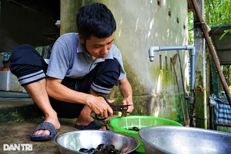 Kỹ sư thông tin nuôi vàng đen, cho ăn đồ rẻ lại đẻ ra tiền - 11