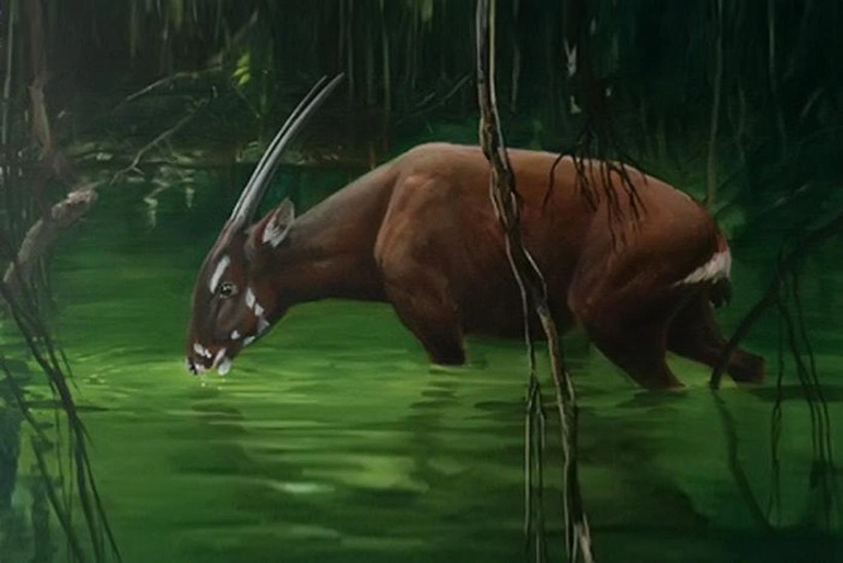 Linh vật SEA Games 31 - loài thú cổ đại được cho là bí ẩn nhất thế giới - 1