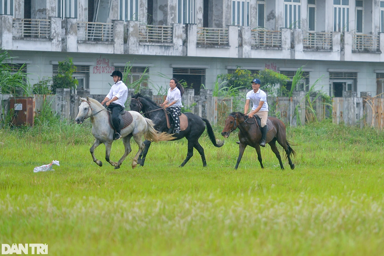 Người Hà Nội rủ nhau học cưỡi ngựa theo phong cách châu Âu
