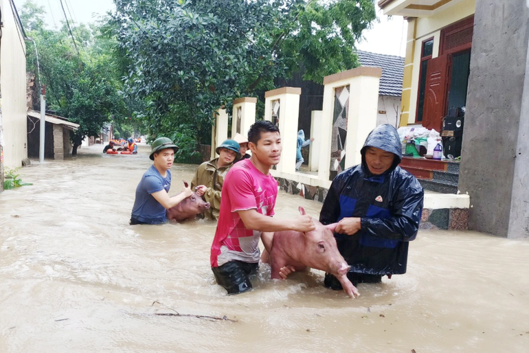 Tam Đảo ghi nhận lượng mưa kỷ lục trong vòng 60 năm - 1 Tam Đảo ghi nhận lượng mưa kỷ lục trong vòng 60 năm - 1