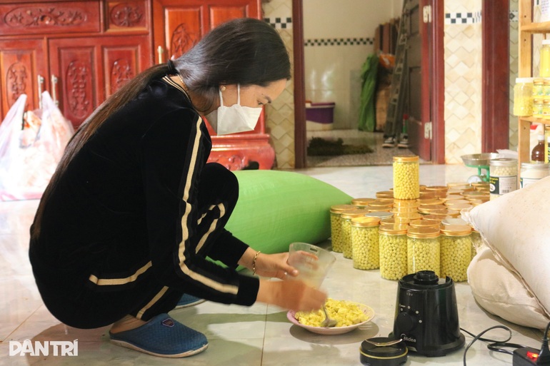 Nữ nông dân chặt cà phê, trồng nghệ, thu hàng trăm triệu mỗi năm