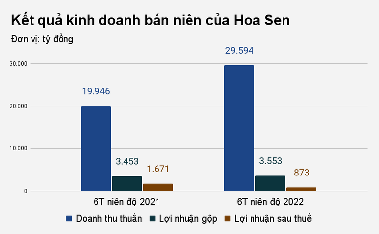 Lợi nhuận của Hoa Sen giảm gần một nửa, CEO chỉ nhận 20% thu nhập - 1