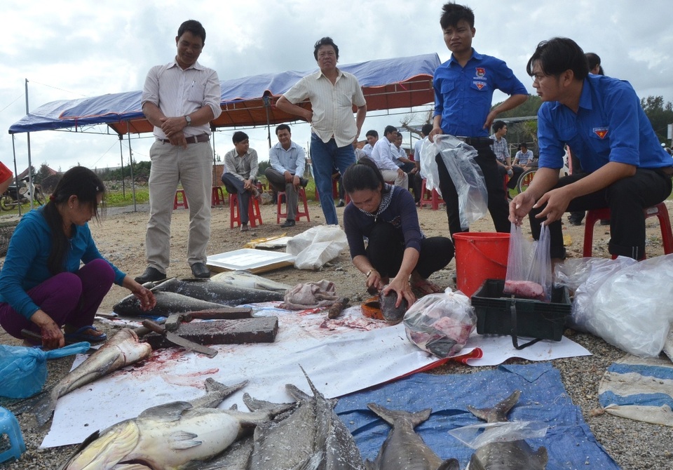 Đoàn viên, thanh niên giúp người dân bán cá bớp.