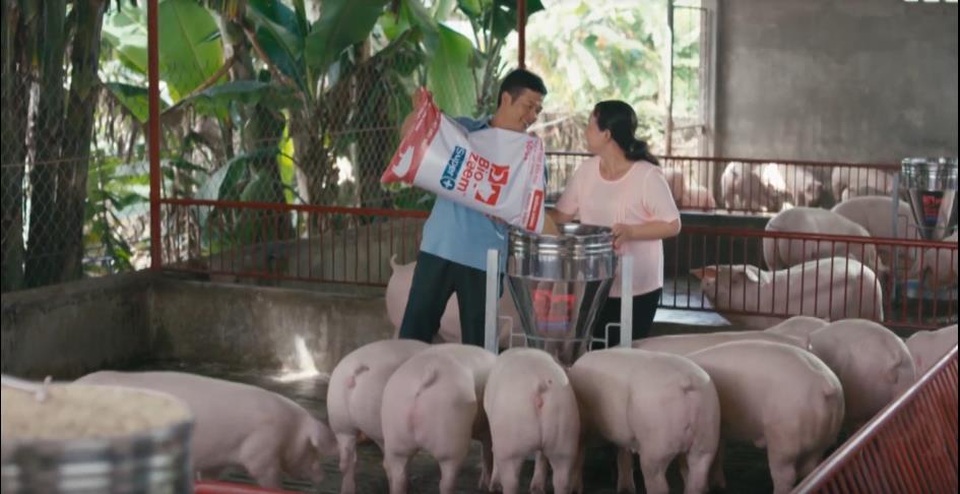 Chủ động tăng đề kháng cho heo giúp nâng cao hiệu quả chăn nuôi - 2 Cám Bio-zeem Super với hệ men tiêu hóa Bio-zeem và dẫn xuất Axít Formic giúp heo mạnh đề kháng và xuất chuồng nhanh