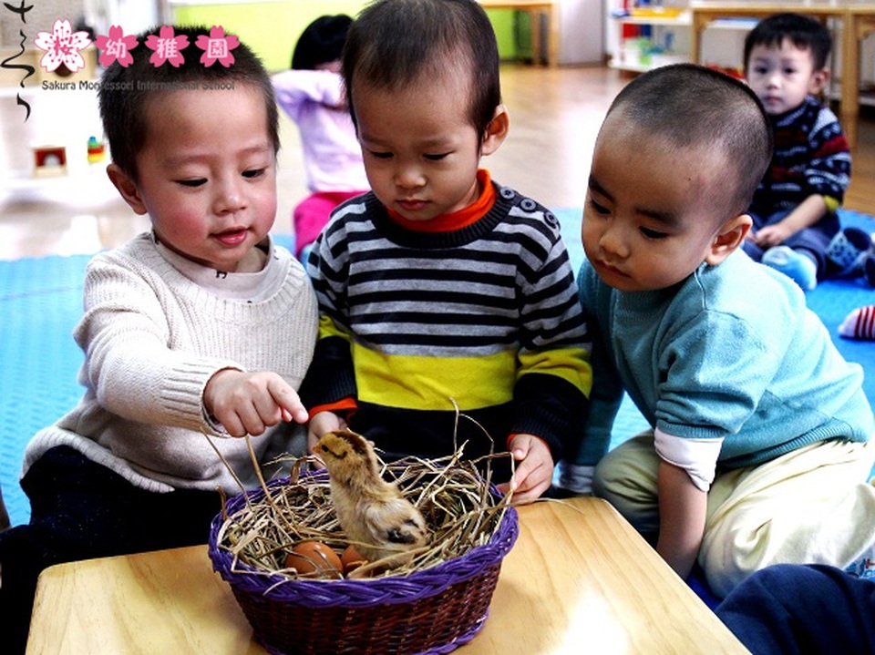 Nuôi dưỡng niềm hạnh phúc trong trẻ, dễ hay khó - 4 Nuôi dưỡng niềm hạnh phúc trong trẻ, dễ hay khó - 4