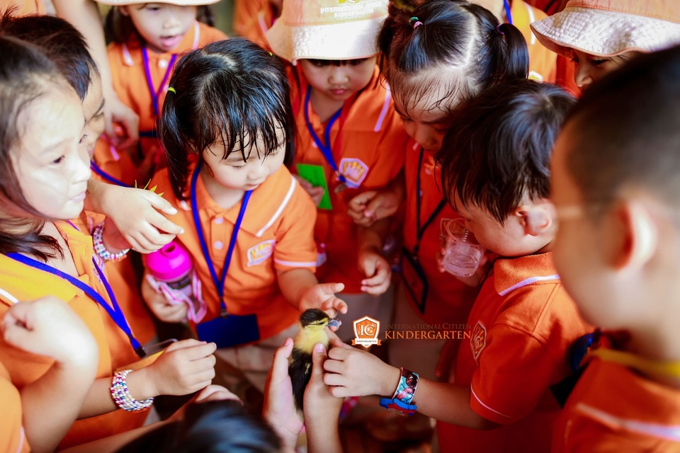 Chuyến tàu mùa hè cho bé mầm non - 1