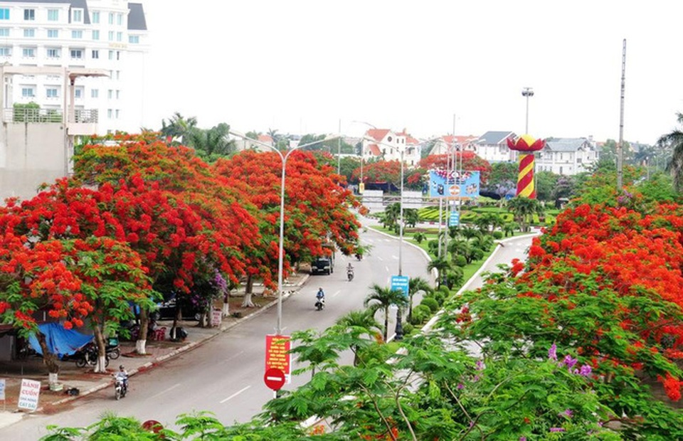 Những địa điểm phượng nở được “săn đón” nhiều nhất - 1 Đường Phạm Văn Đồng - “Con đường trồng nhiều cây hoa phượng nhất Việt Nam” ngập tràn sắc đỏ đan xen cùng sắc bằng lăng tím ngắt