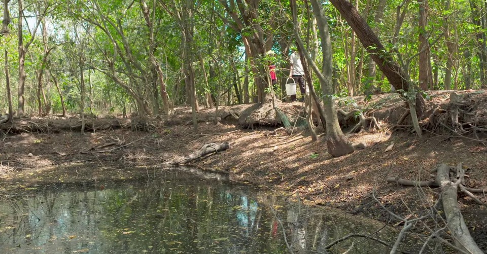Ngay cả miền sông nước Cửu Long trù phú cũng rơi vào tình trạng thiếu nước trầm trọng do xâm nhập mặn