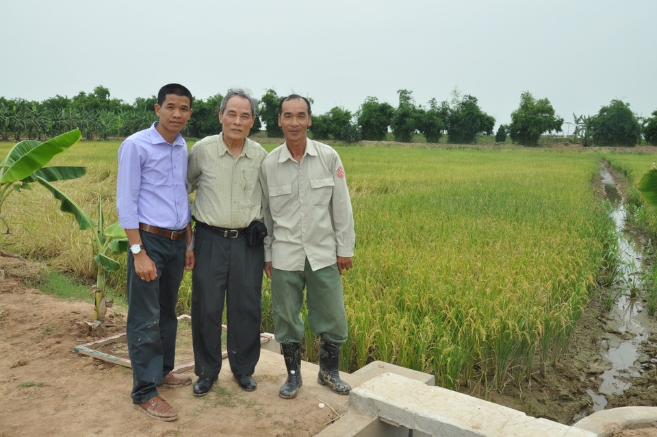 Chàng trai trẻ "ngược dòng" gặt hái thành công từ hạt gạo quê hương - 3 Chàng trai trẻ "ngược dòng" gặt hái thành công từ hạt gạo quê hương - 3