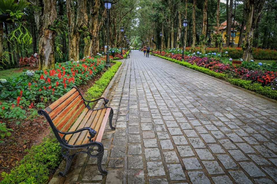 Khám phá Đà Lạt một ngày chỉ với 140 000đ/người - 4 Khám phá Đà Lạt một ngày chỉ với 140 000đ/người - 4