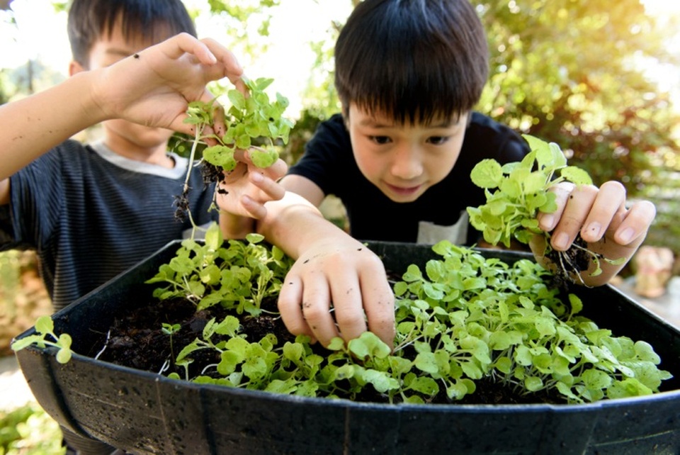 Chuyên gia tâm lý Tô Nhi A:  “Thiên nhiên chính là ngôi trường chất lượng cao để trẻ học sáng tạo!” - 2