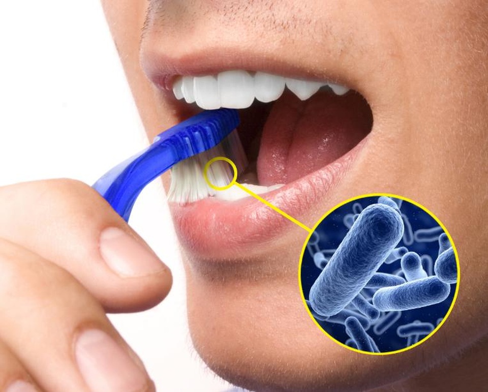 Những gì chúng ta vừa thải ra lại đi vào qua chiếc bàn chải