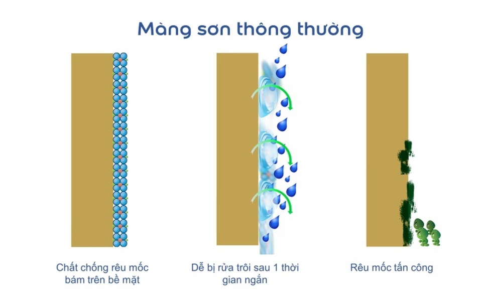 Giải pháp bảo vệ tường khỏi rêu mốc hiệu quả & dài lâu - 1 Giải pháp bảo vệ tường khỏi rêu mốc hiệu quả & dài lâu - 1