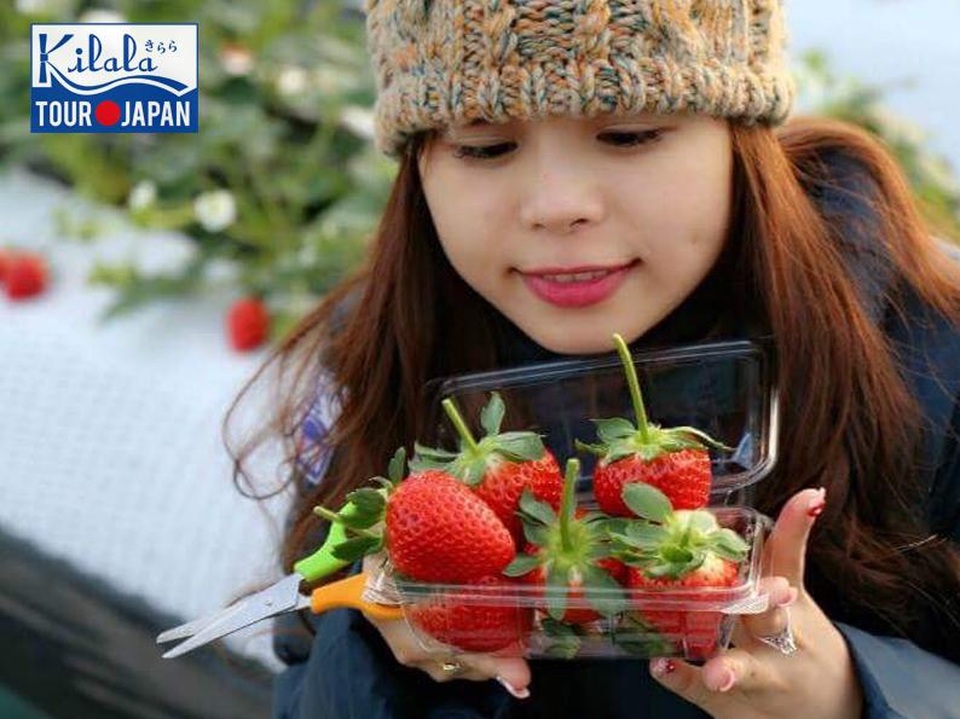 Mùa đông Nhật Bản hút hồn du khách Việt - 4