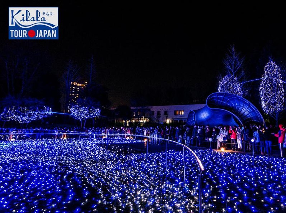 Mùa đông Nhật Bản hút hồn du khách Việt - 5