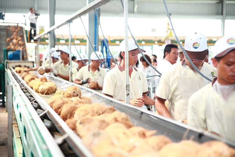 Nhà máy của Betrimex tại xã Phong Nẫm, huyện Giồng Trôm, Bến Tre