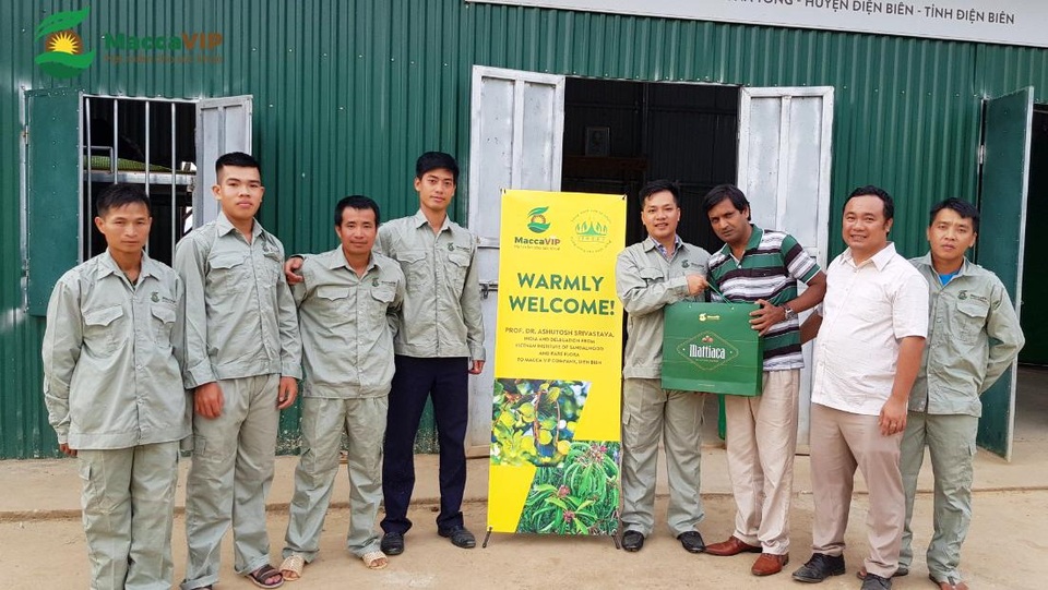 Bước đi đột phá của sản phẩm hạt Mắc ca Việt Nam cao cấp - Ảnh 2. Bước đi đột phá của sản phẩm hạt Mắc ca Việt Nam cao cấp - Ảnh 2.