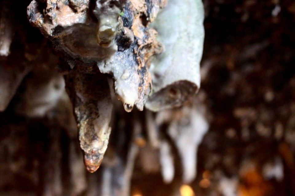 Ngỡ ngàng với vẻ đẹp mê hoặc của “cao nguyên đệ nhất động” - 7 Ngay từ lối vào, du khách đã vô cùng ấn tượng với những khối đá có hình thù kỳ dị. Được kiến tạo từ cách đây hàng trăm triệu năm, phần lớn các khối đá đều có màu vàng nâu, óng ánh như nạm một lớp vàng mỏng.