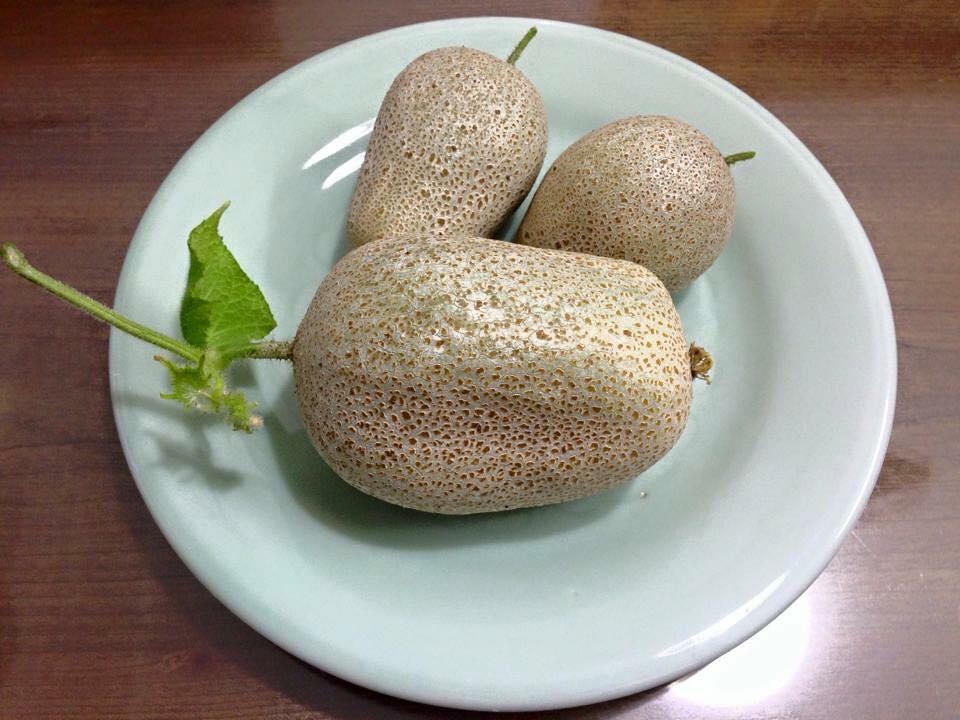 Vườn treo 2,5m2: Khoai tây leo, bầu hồ lô độc nhất Hà Thành - 5 Loại dưa chuột này siêu đặc biệt, bởi đến lúc quả được thu hoạch vỏ bên ngoài sẽ chuyển sang màu hơi nâu giống với khoai tây