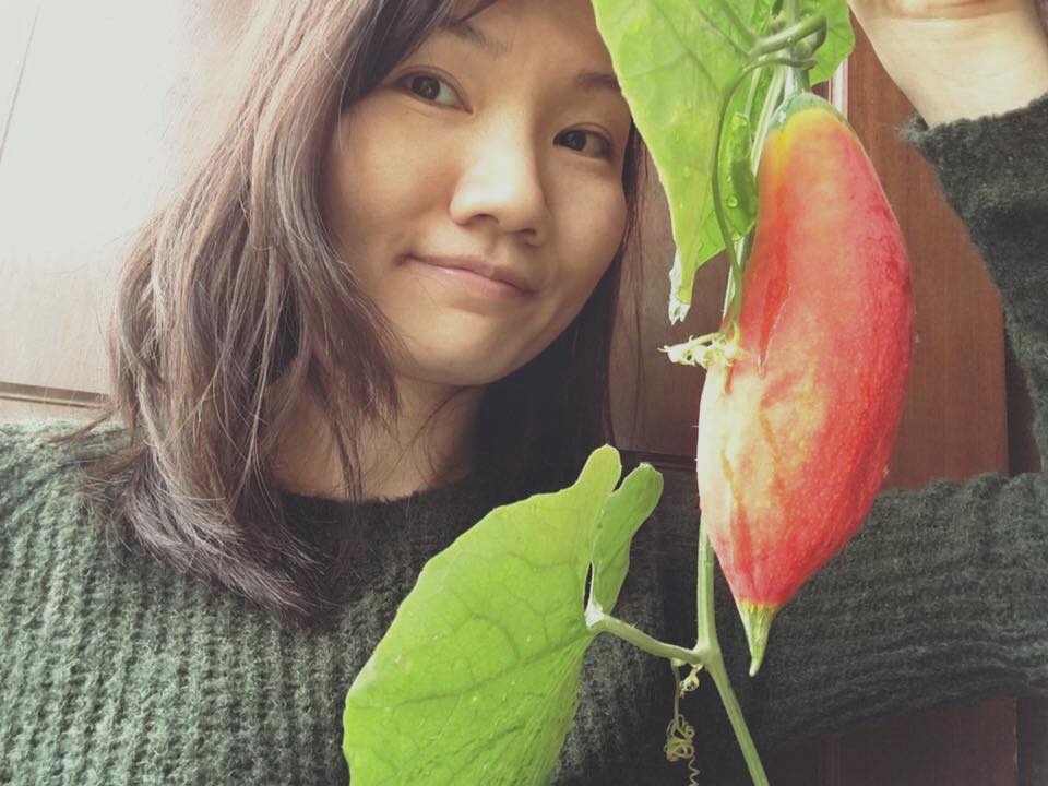 Vườn treo 2,5m2: Khoai tây leo, bầu hồ lô độc nhất Hà Thành - 21 Một số loại rau quả chị đam mê và thích trồng vì chúng đẹp. Thế nên, lúc thu hoạch chị để ngắm cho đã mắt và cho các con nghịch chơi. Các loại rau quả được chị trồng gối vụ nhau, khiến ban công nhà chị lúc nào cũng xanh mướt, đầy rau và quả