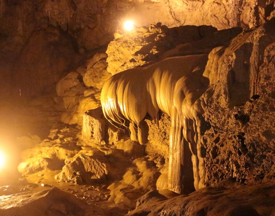 Bông sen vàng úp ngược nằm ở vị trí khá sâu.