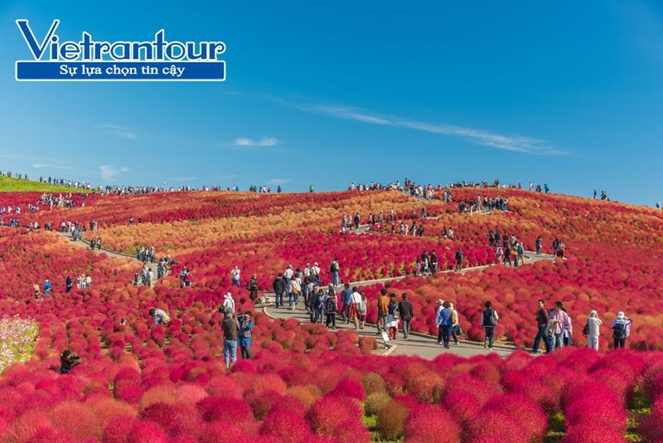 4 điểm đến phải đến vào mùa thu ở Nhật Bản - 1