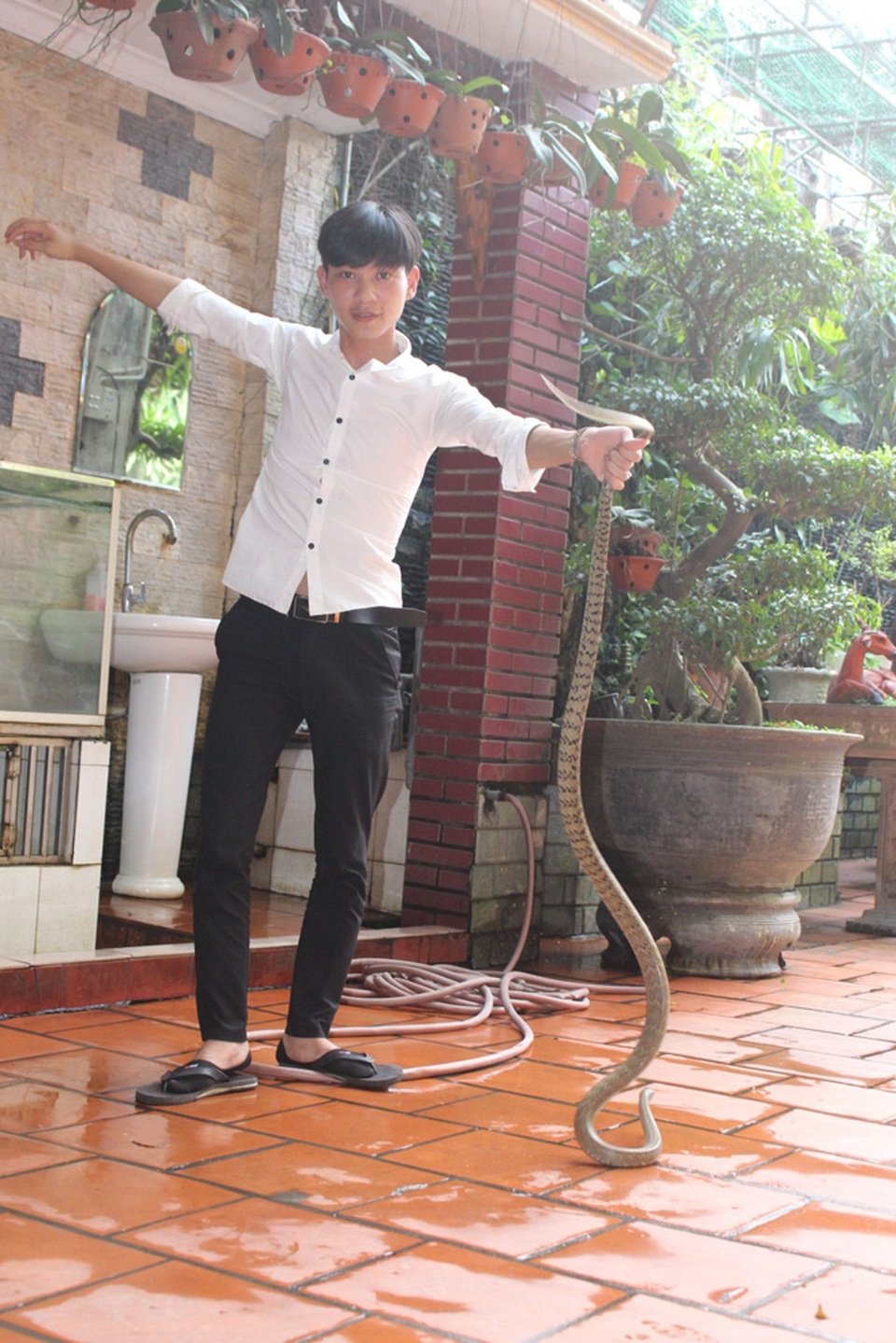 Mục sở thị “báu vật” của con phố có nhiều đại gia nhất nhì Hà Nội - 10