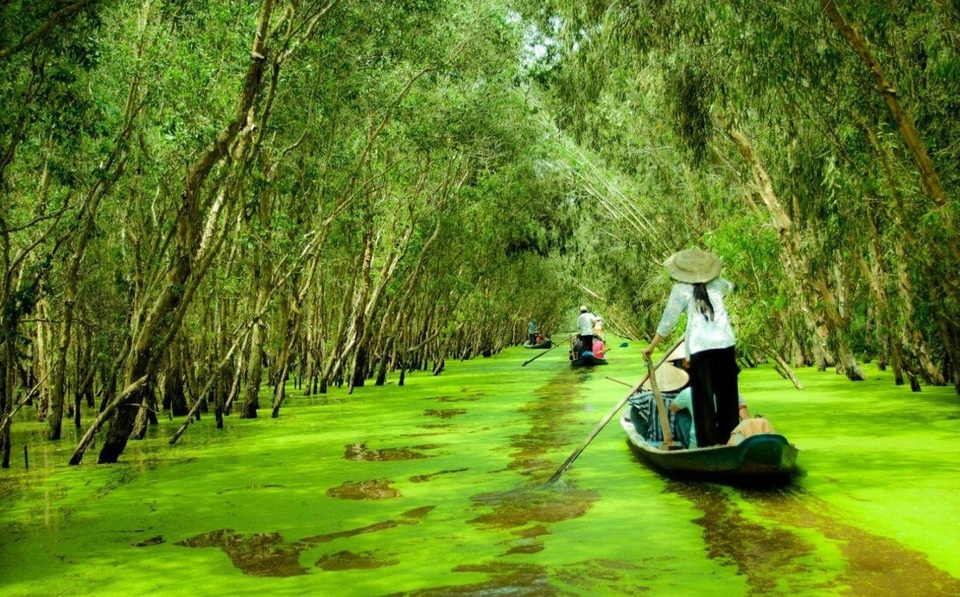 Những điểm đến lý tưởng ngắm miền Tây mùa nước nổi - 1 Ghe sẽ đi thật chậm, đủ để bạn cảm nhận thiên nhiên tĩnh lặng xung quanh. (Ảnh: tourmientayvietnam)