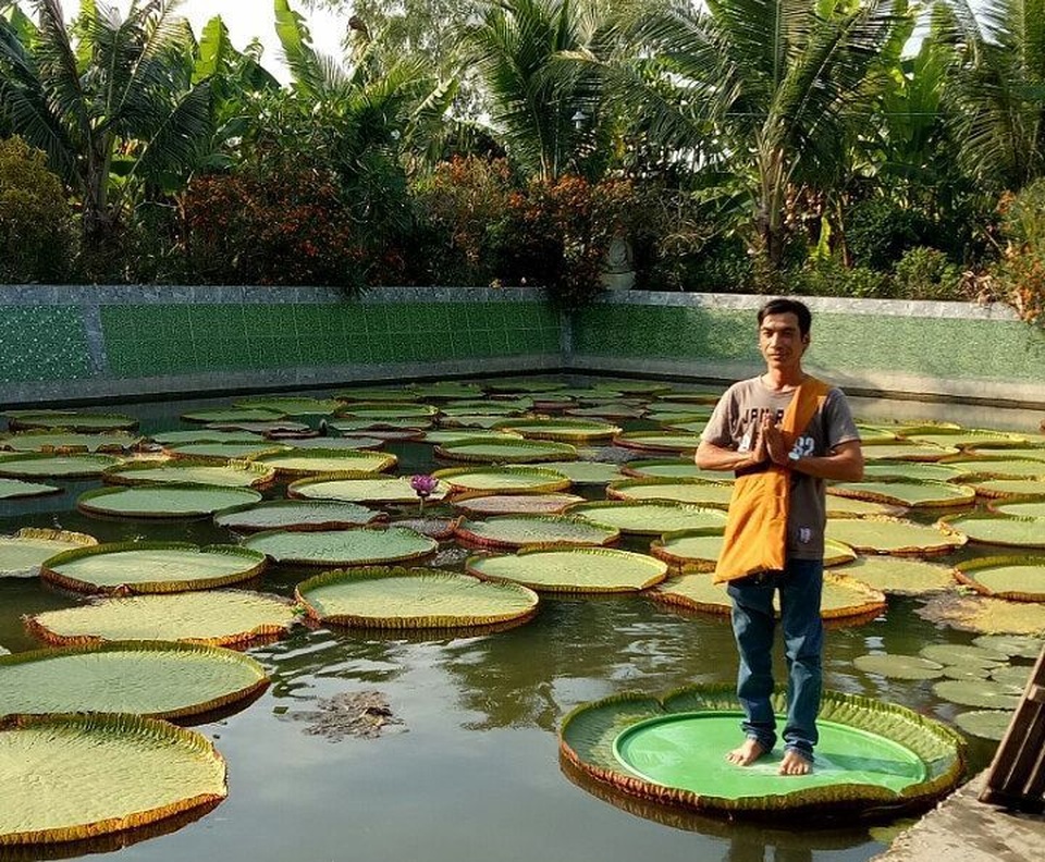 Vãn cảnh ngôi chùa có loài sen “cõng được người” ở Đồng Tháp - 4 Ảnh: huynguyen1284