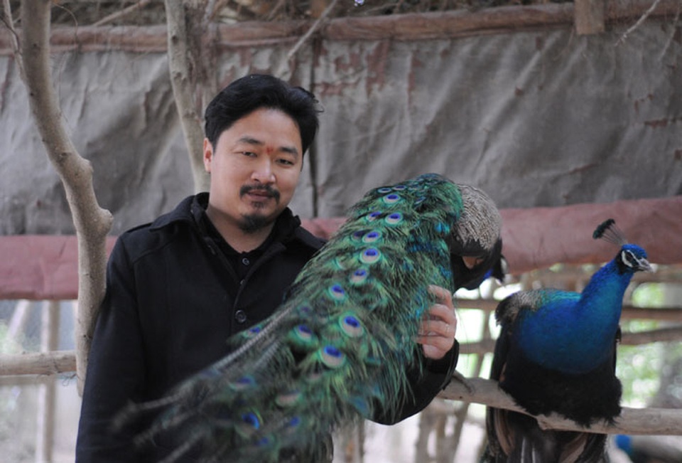 Kiếm tiền tỷ ở Việt Nam nhờ những ý tưởng “không giống ai” - 4 Những con chim công quý trong trang trại của anh Giáp. (Ảnh: danviet)