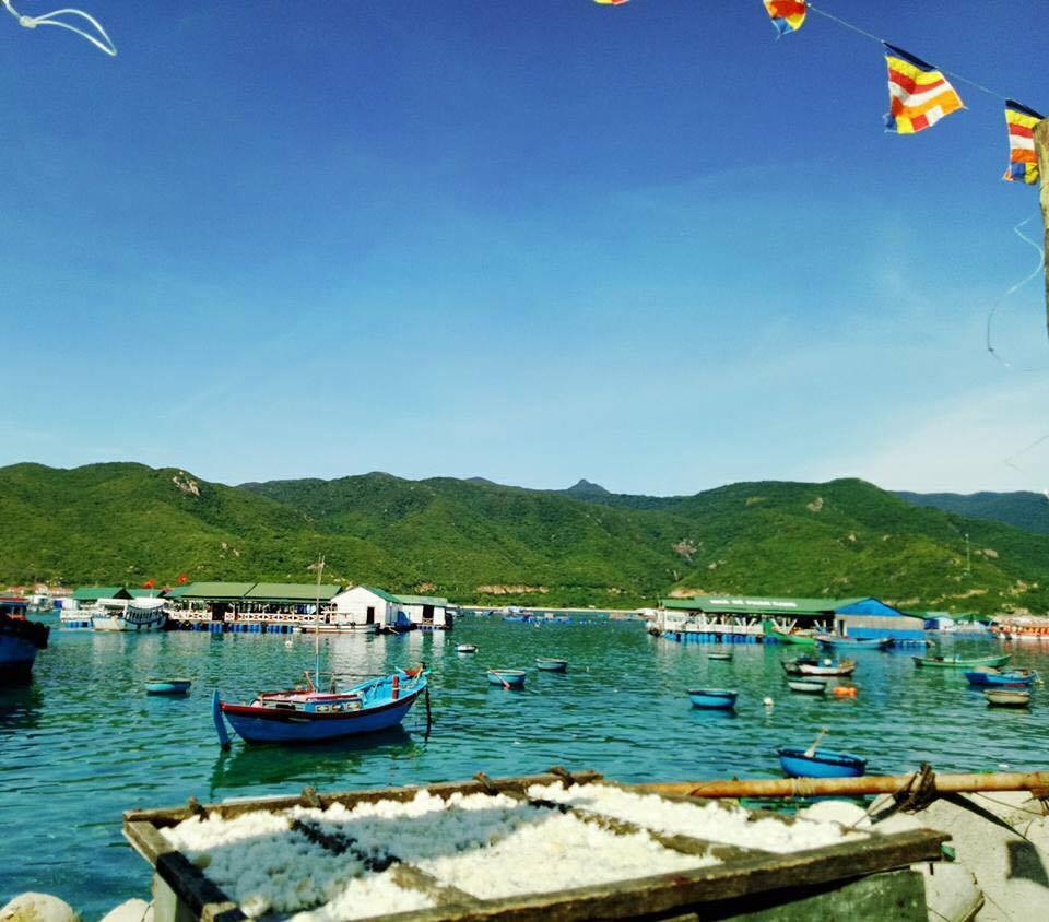 Khung cảnh bình yên trên đảo Bình Hưng đã hấp dẫn đông đảo du khách. (Ảnh: Lý Thảo)