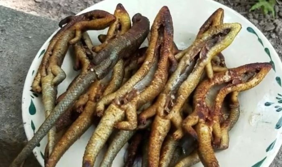 Đặc sản “rắn 4 chân” có một không hai ở miền Tây - 3 Thoạt nhìn, món ăn từ rắn mối có thể khiến thực khách thấy rùng mình.