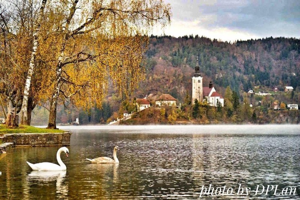 Ký sự Slovenia - dành cho những người thích du lịch thiên nhiên - 2 Hồ Bled được ví như một viên ngọc xanh nằm giữa những dãy núi cao vút.