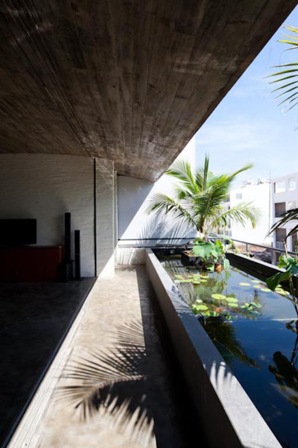 Ngắm ngôi nhà Việt bình dị bất ngờ chiến thắng giải kiến trúc Thế giới - 14 Các yếu tố thiên nhiên như ánh sáng, gió trời, nước… đều được hội tụ