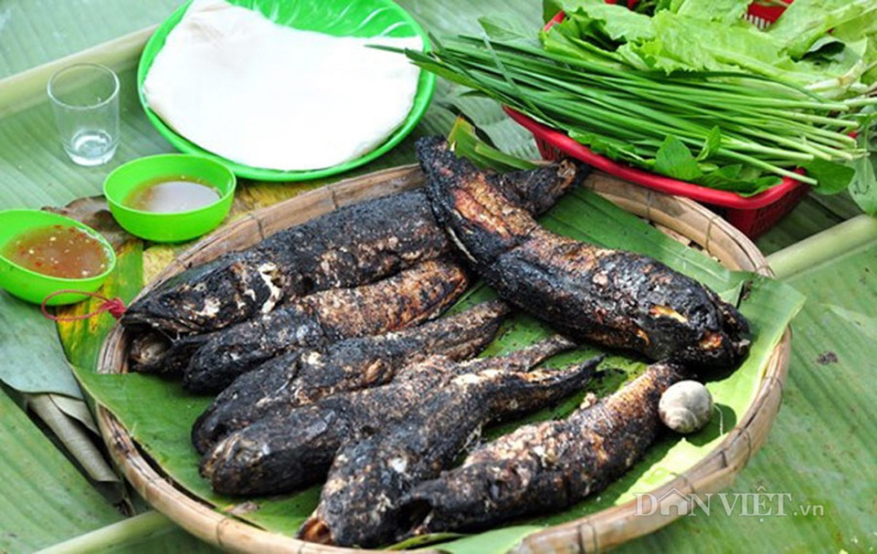 Cá trèo đồi: Đặc sản tiến vua quý hiếm đất Ninh Bình - 2 Thịt cá tràu tiến vua ăn rất chắc và thơm.(Ảnh: danviet)