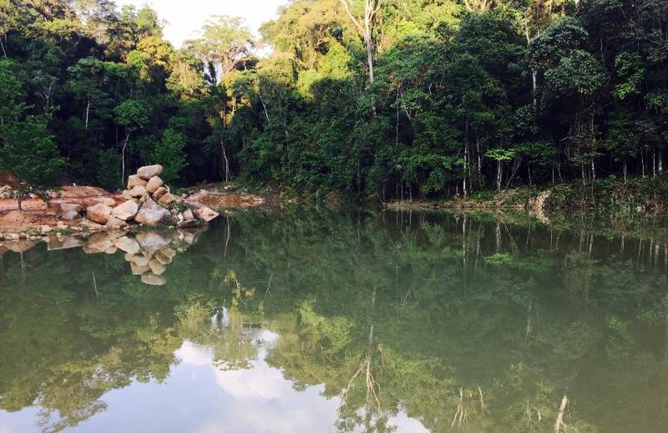 Háo hức "check in" bàn tay may mắn khổng lồ đang gây sốt ở Đà Lạt - 6 Háo hức "check in" bàn tay may mắn khổng lồ đang gây sốt ở Đà Lạt - 6