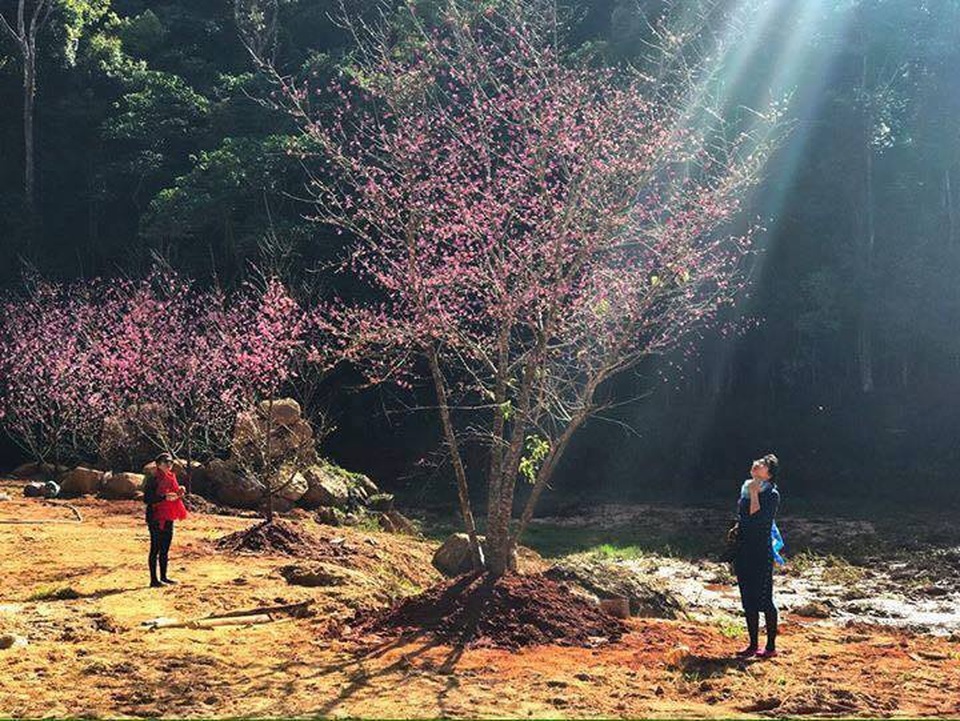 Háo hức "check in" bàn tay may mắn khổng lồ đang gây sốt ở Đà Lạt - 8 Háo hức "check in" bàn tay may mắn khổng lồ đang gây sốt ở Đà Lạt - 8