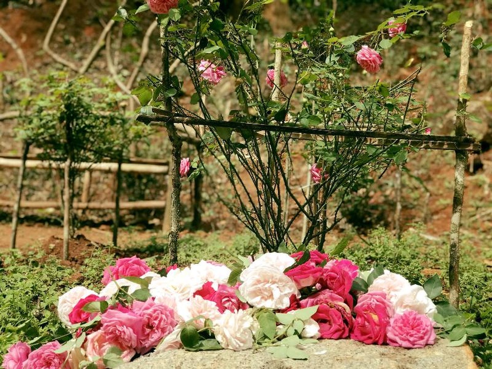 Háo hức "check in" bàn tay may mắn khổng lồ đang gây sốt ở Đà Lạt - 12 Háo hức "check in" bàn tay may mắn khổng lồ đang gây sốt ở Đà Lạt - 12