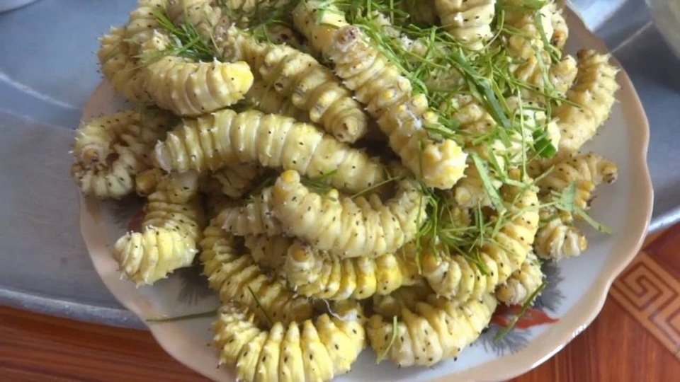 Tằm ăn lá sắn.