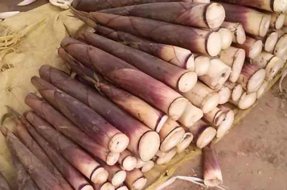 Măng đắng là đặc sản dân dã.