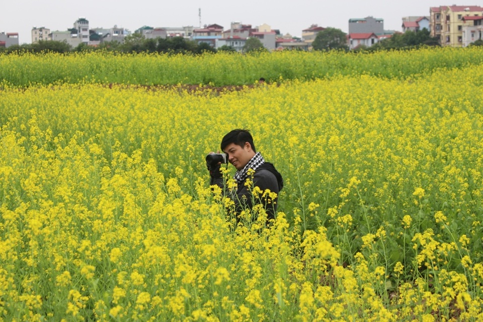 Ngẩn ngơ giữa cánh đồng cải vàng sưởi ấm trời đông Hà Nội - 9