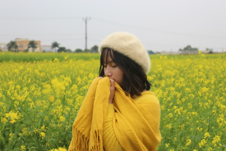Ngẩn ngơ giữa cánh đồng cải vàng sưởi ấm trời đông Hà Nội - 12