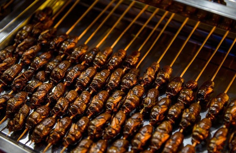 7 đặc sản Việt ngon nức tiếng nhưng “càng ăn càng độc” - 6 Tùy theo từng mùa mà có các loại côn trùng để chế biến thành những món khác nhau.
