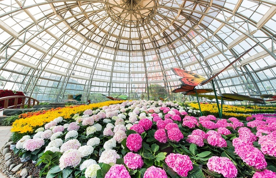 1 chuyến đi - check-in “5 châu, 4 bể” - 1 1 chuyến đi - check-in “5 châu, 4 bể” - 1