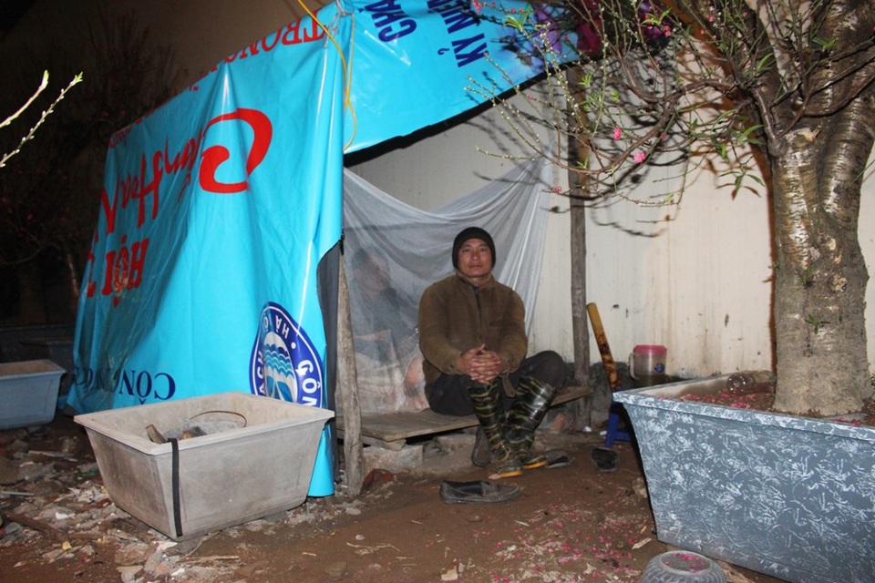 Người Hà Nội đốt củi sưởi ấm, thức trắng đêm trông đào giữa giá rét - 6 Theo một số người kể lại, cách đây vài ngày có 2 nhà nằm cạnh nhau bị trộm lấy mất 8 cây. Bọn trộm rất nhanh tay, chỉ đào gốc rồi để lại chậu nên hầu như không gây ra tiếng động lớn. Ước tính, tổng thiệt hại lên đến gần 30 triệu đồng. Cũng từ đó, nhà nào cũng phải căng tai, căng mắt, thức trắng đêm giữa cái lạnh cắt da cắt thịt.