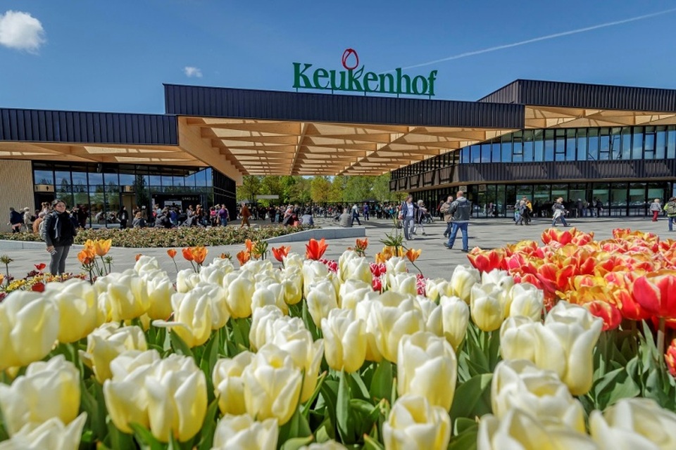 Châu Âu mùa xuân có gì hấp dẫn? - 2 Keukenhof – công viên của mùa xuân