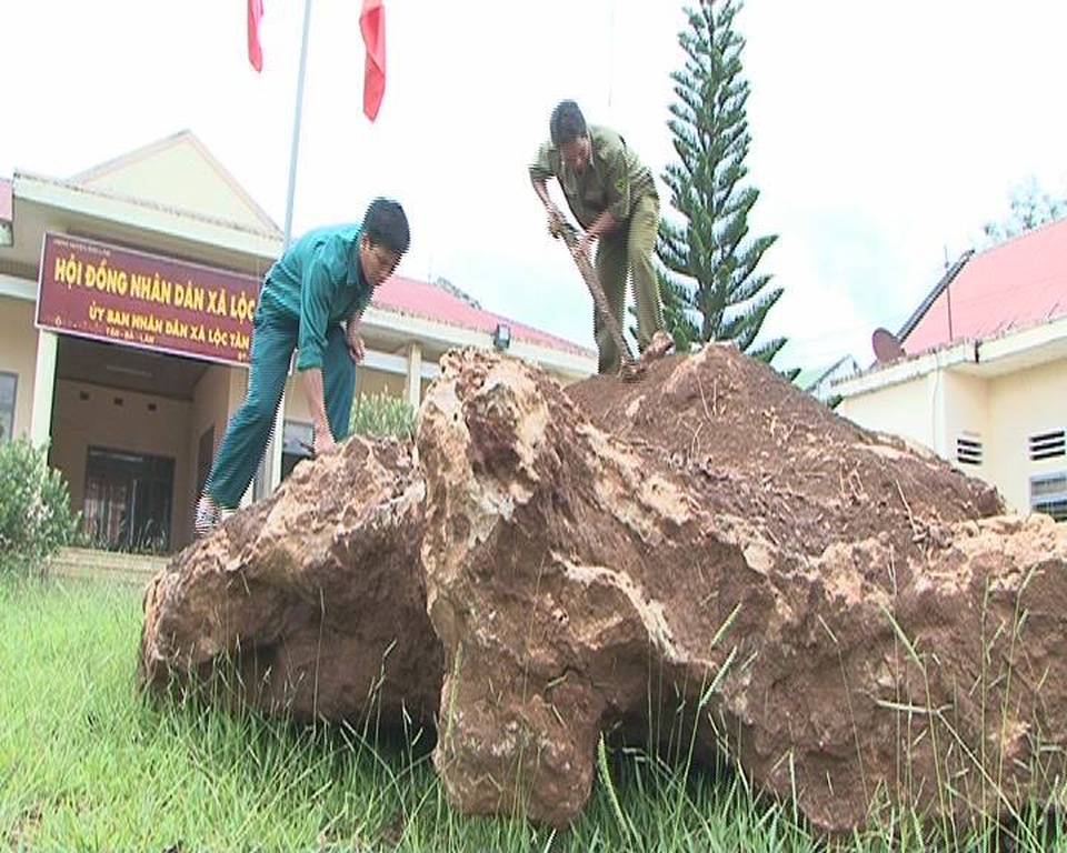 Bán đấu giá tảng đá nặng 20 tấn phát hiện dưới lòng hồ thủy điện - 2 Hòn đá được xác định là đá Canxedon- loại bán quý