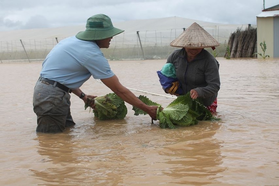 Thủy điện xả lũ nhấn chìm nhà cửa, vườn ruộng của người dân - 7
Người dân chạy lũ, cố vớt vát lại chút nông sản