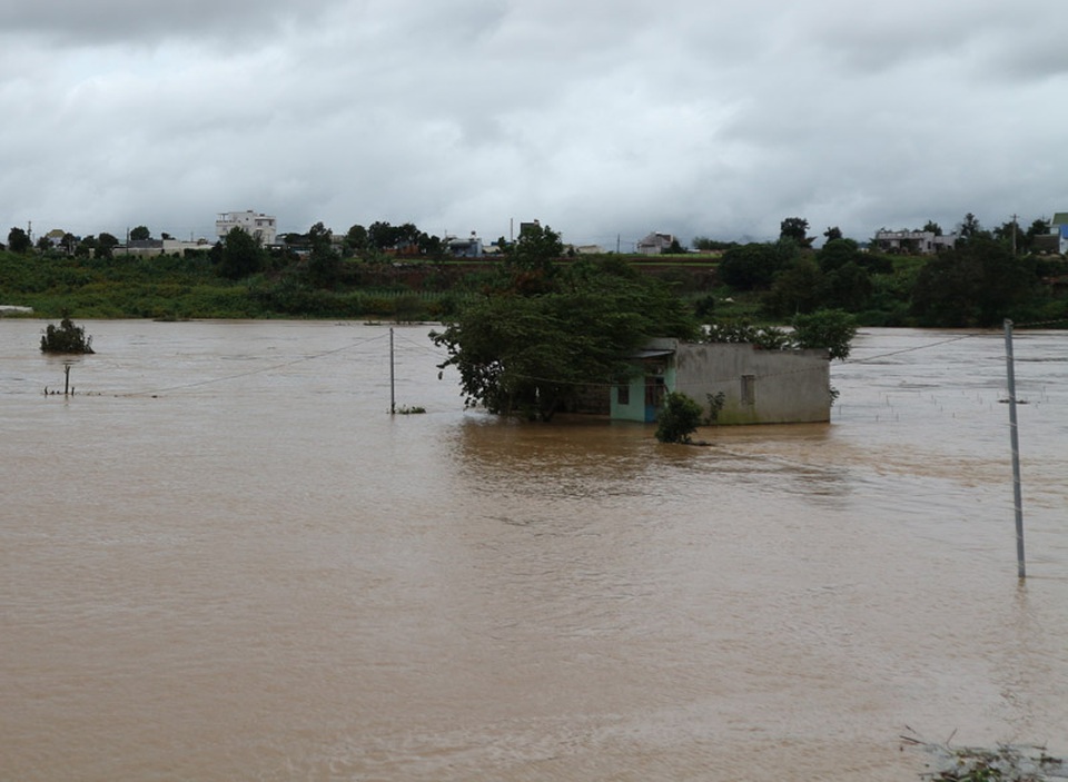 Thủy điện xả lũ nhấn chìm nhà cửa, vườn ruộng của người dân - 2